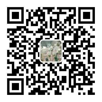 请加红娘-王老师